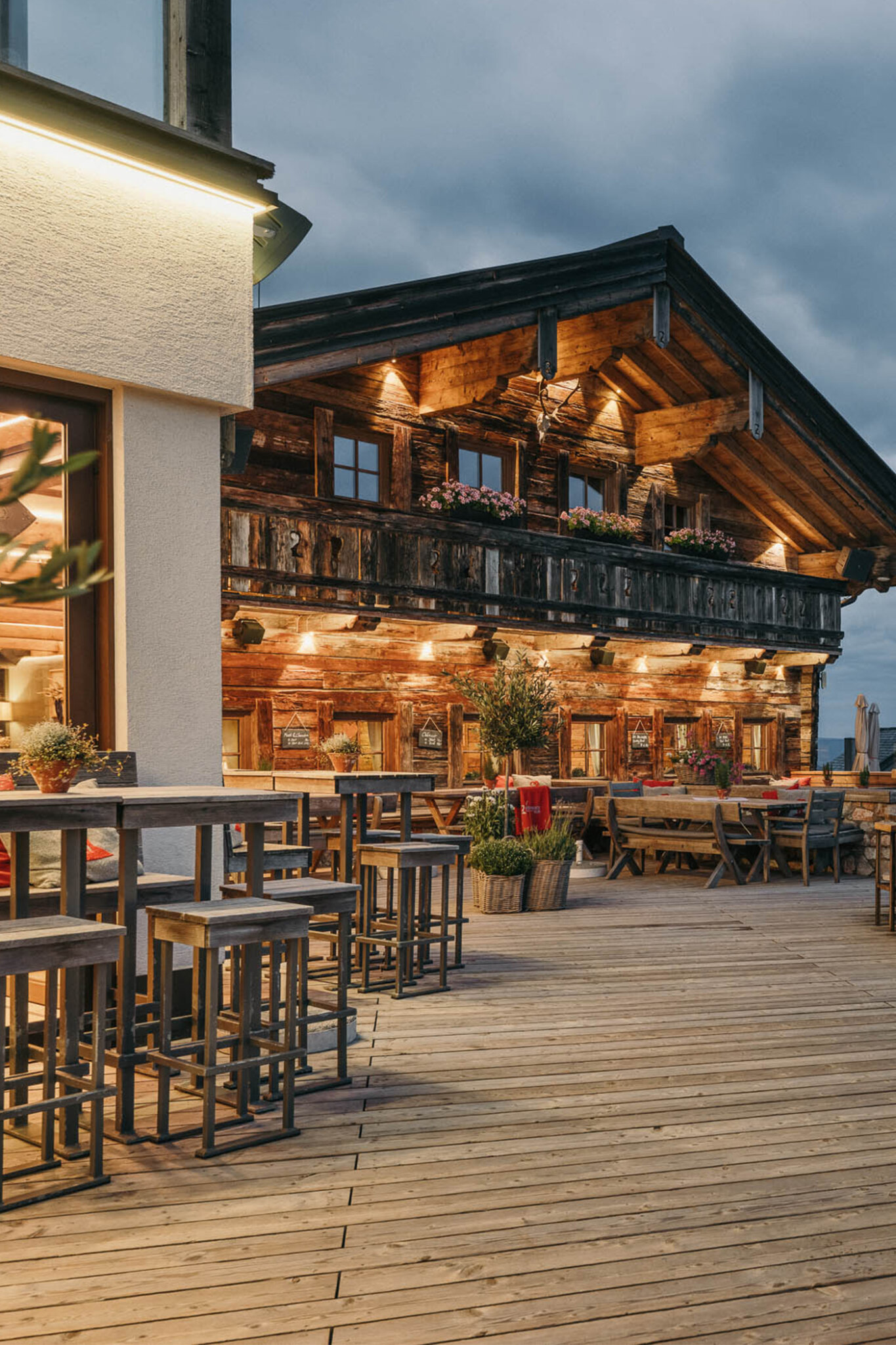 Steinbockalm Maria Alm